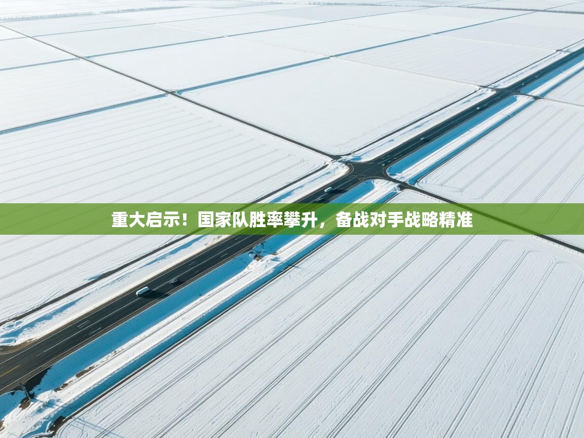 重大启示！国家队胜率攀升，备战对手战略精准  第1张