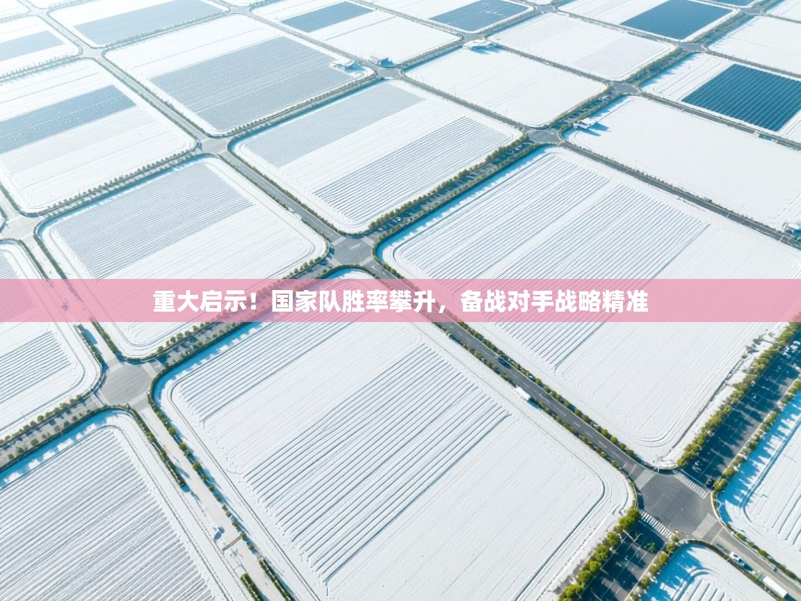 重大启示！国家队胜率攀升，备战对手战略精准  第2张