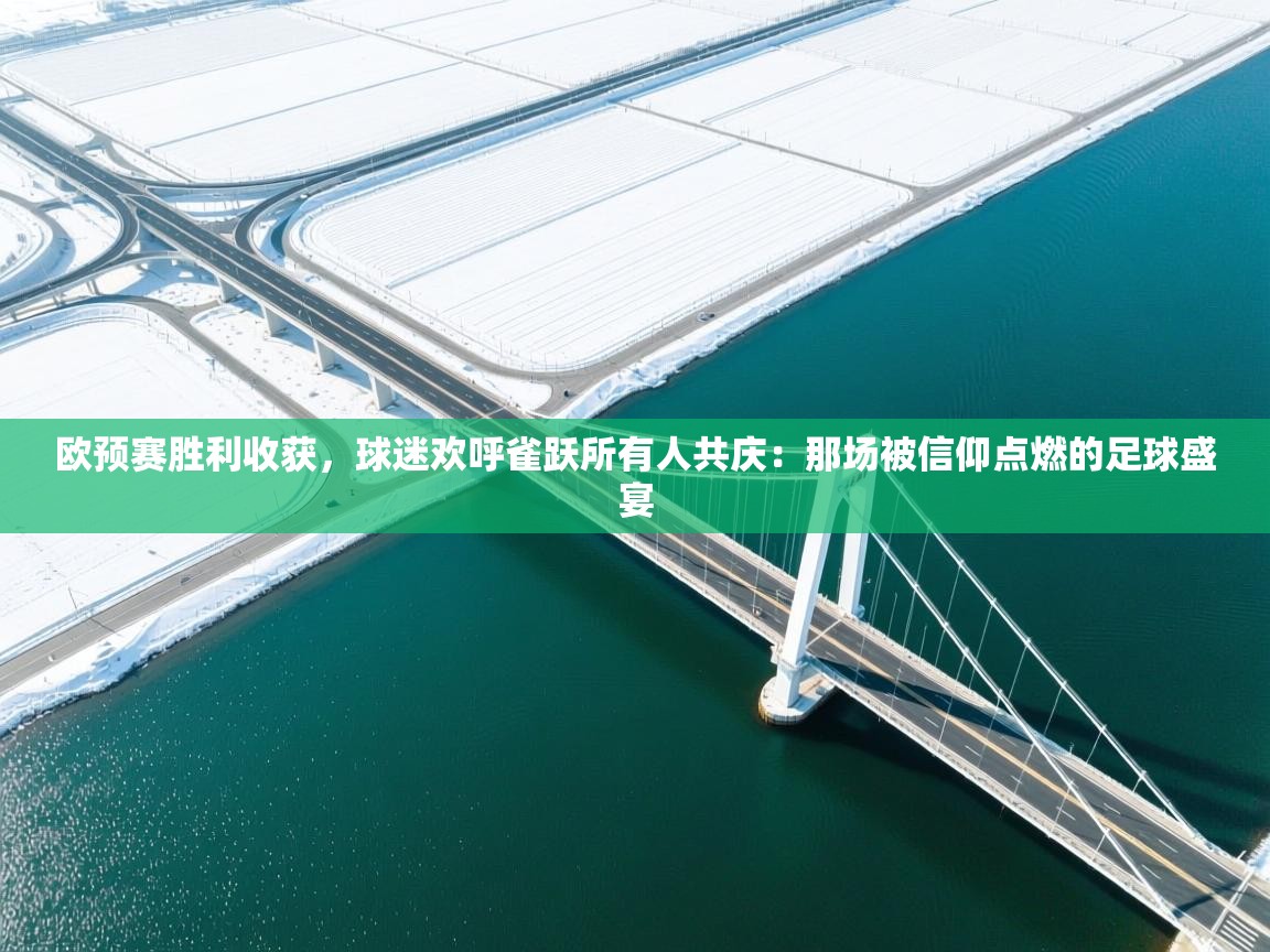 欧预赛胜利收获，球迷欢呼雀跃所有人共庆：那场被信仰点燃的足球盛宴