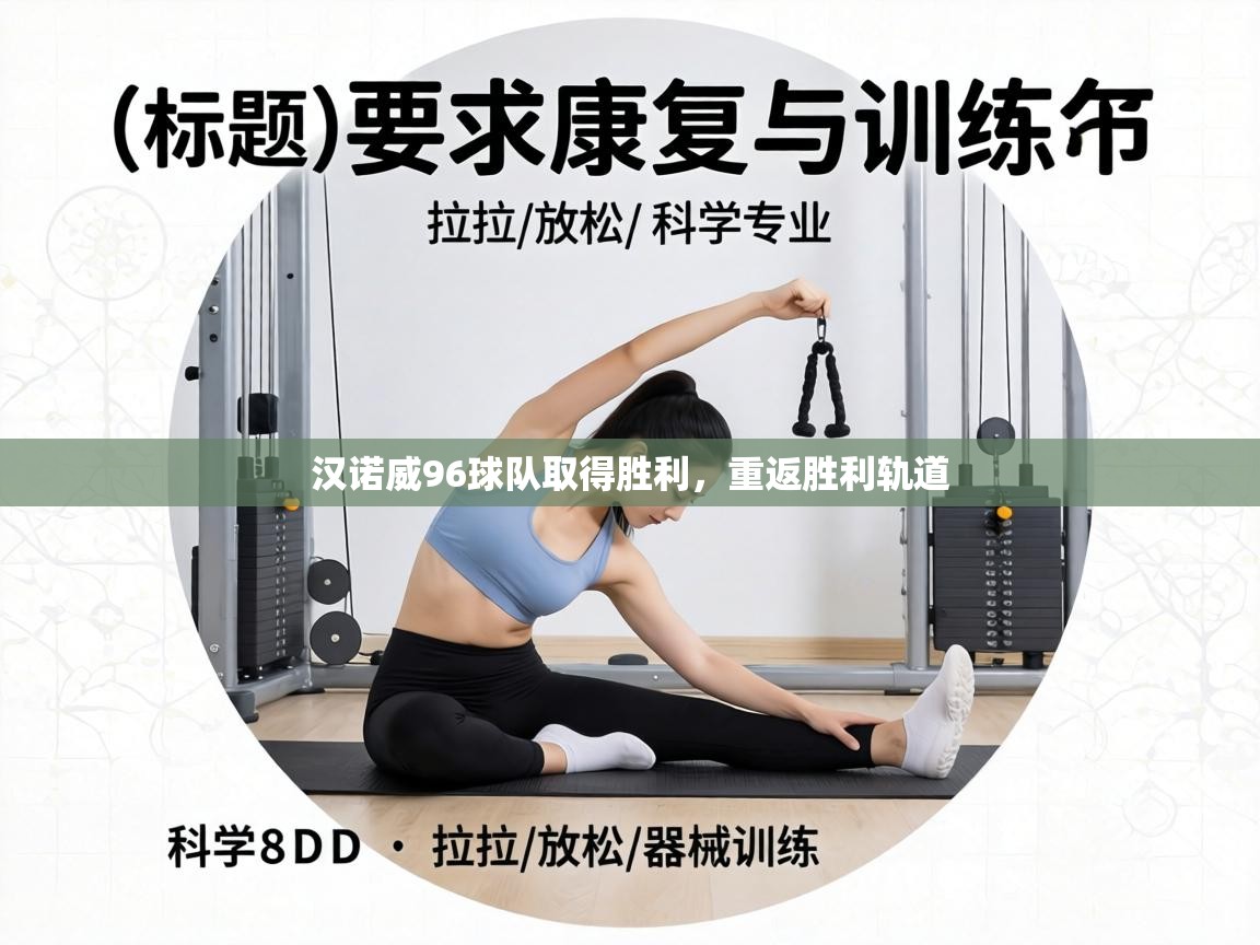 汉诺威96球队取得胜利，重返胜利轨道  第1张