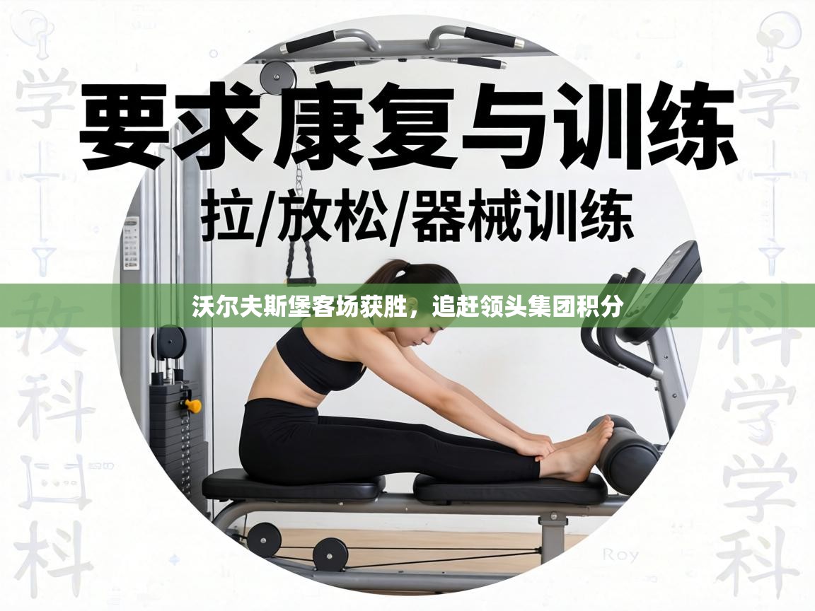 沃尔夫斯堡客场获胜,追赶领头集团积分 第2张